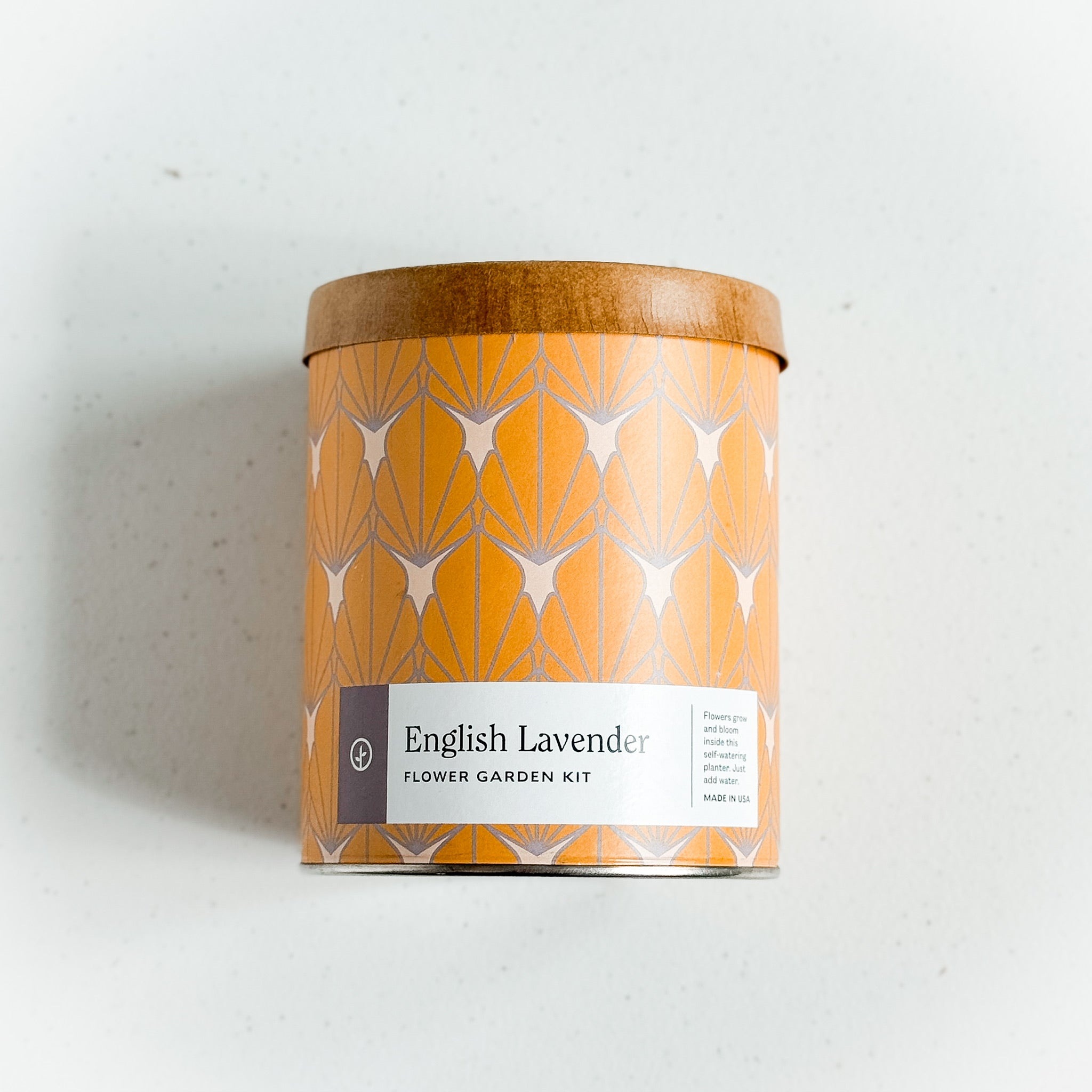 English Lavender Grow Kit by Modern Sprout